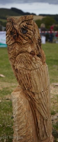 Chainsaw carving
