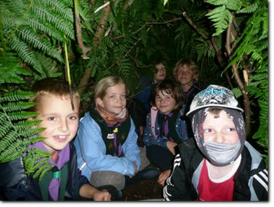 Scout shelter