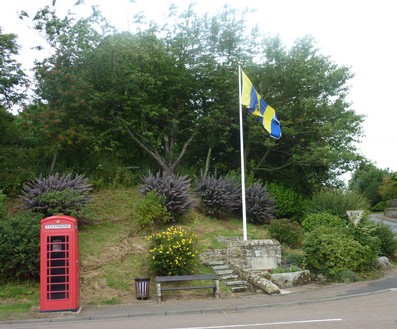 Trees lopped behind the flagpole