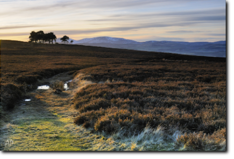 The Cheviot Hills